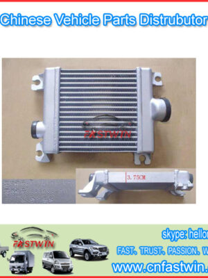 Gwm-Wingle-Steed-a5-car-Ecu 1119100-e03-2