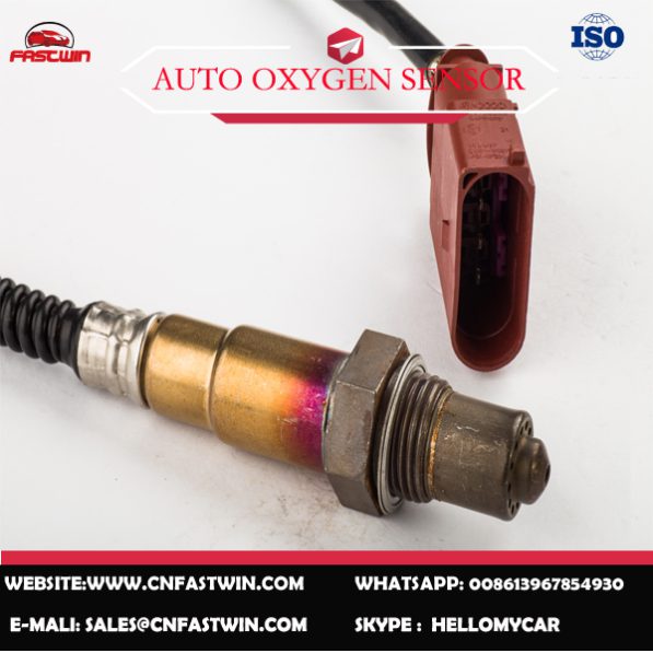 AUTO OXYGEN SENSOR 0258006495-496 FOR BOSCH