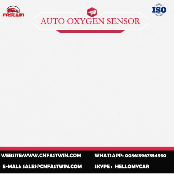 AUTO OXYGEN SENSOR 0258010172-173 FOR BOSCH
