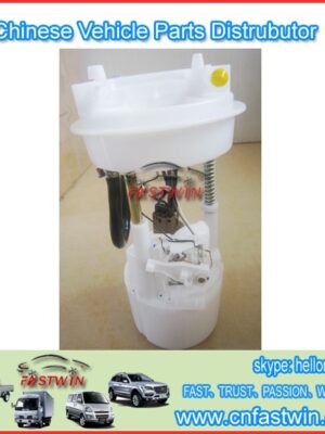 AUTO FUEL PUMP FOR CHERY COWN