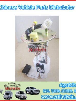 AUTO FUEL PUMP  214