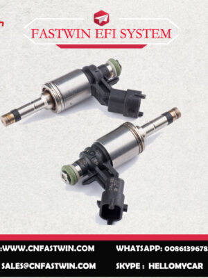 0261500293副本 AUTO FUEL INJECTOR 0261500293 (GDI)