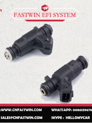 0280156171副本 AUTO FUEL INJECTOR 0280156171 FOR BOSCH