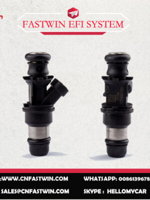 AUTO FUEL INJECTOR 12568155 FOR DELPHI