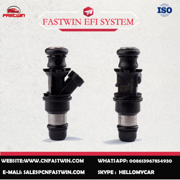 12568155副本 AUTO FUEL INJECTOR 12568155 FOR DELPHI