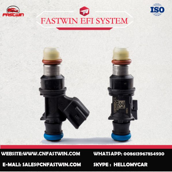 AUTO FUEL INJECTOR 12580681 FOR DELPHI
