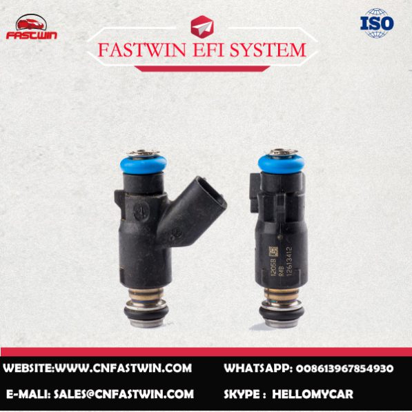AUTO FUEL INJECTOR 12613412 FOR DELPHI