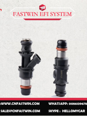 17113698副本 AUTO FUEL INJECTOR 17113698 FOR DELPHI