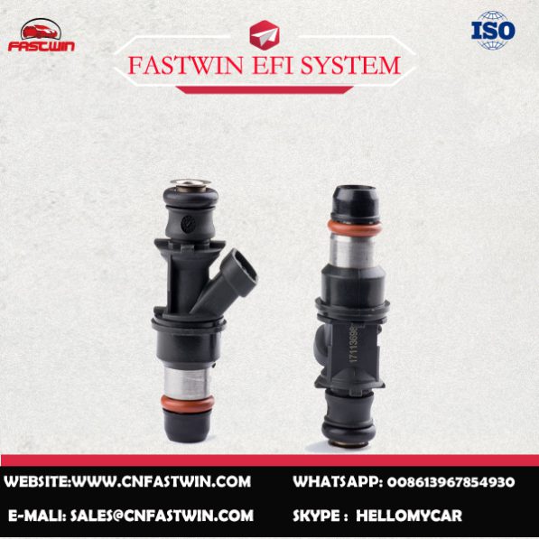 AUTO FUEL INJECTOR 17113698 FOR DELPHI