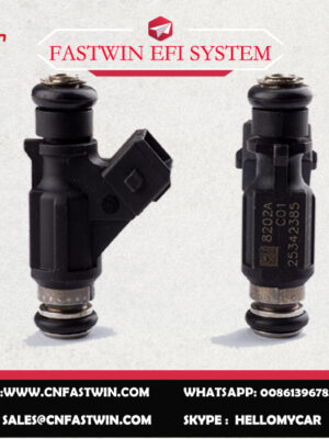 25342385副本 AUTO FUEL INJECTOR 25342385 FOR DELPHI