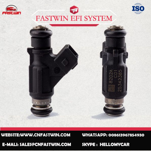 25342385副本 AUTO FUEL INJECTOR 25342385 FOR DELPHI