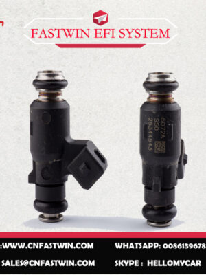25344543副本 AUTO FUEL INJECTOR 25344543 FOR DELPHI