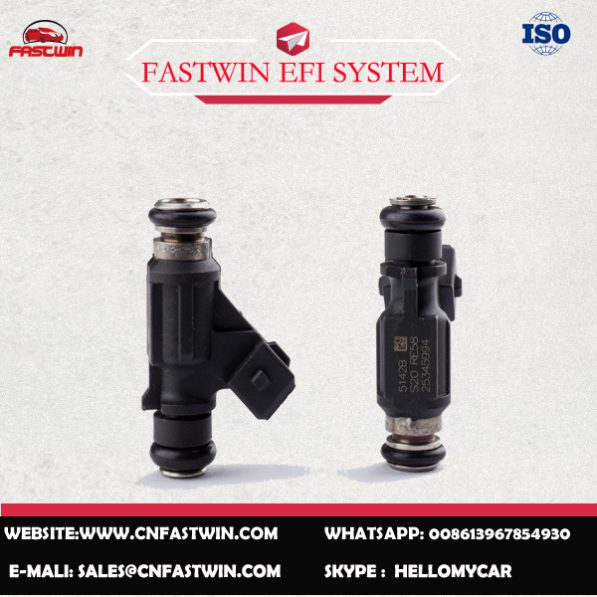 AUTO FUEL INJECTOR 25345994 FOR DELPHI