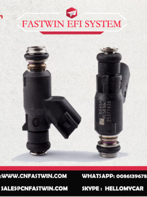 25377439副本 AUTO FUEL INJECTOR 25377439 FOR DELPHI