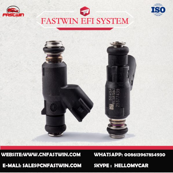 AUTO FUEL INJECTOR 25377439 FOR DELPHI