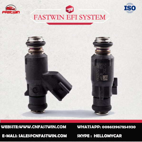 28152095副本 AUTO FUEL INJECTOR 28152095 FOR DELPHI
