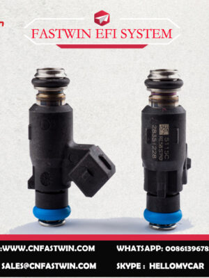 AUTO FUEL INJECTOR 28351288 FOR DELPHI