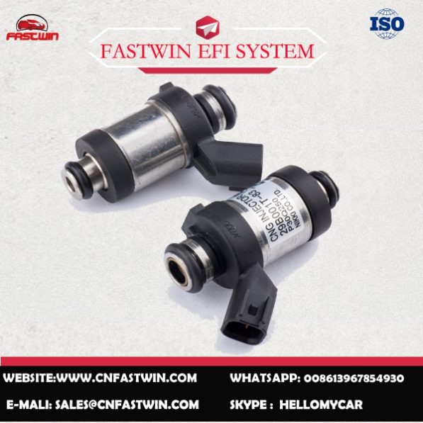 AUTO FUEL INJECTOR 29B001T-83