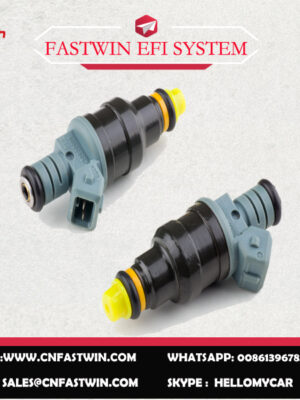 35310-02500(925093006)副本 AUTO FUEL INJECTOR 35310-02500(925093006) FOR HYUNDAI IRON