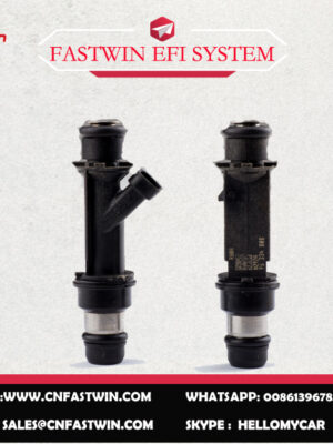 AUTO FUEL INJECTOR 96334808-1 FOR DELPHI