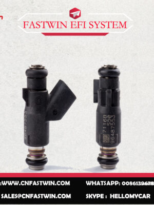 AUTO FUEL INJECTOR 96487553 FOR DELPHI