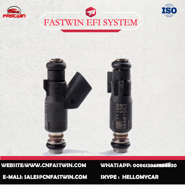 AUTO FUEL INJECTOR 96487553 FOR DELPHI
