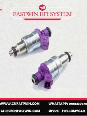 AUTO FUEL INJECTOR F111309 FOR SIEMENS IRON